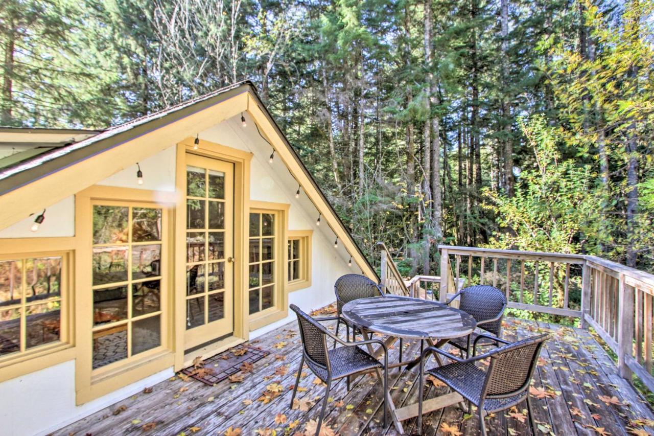 Owls Nest Studio With Hot Tub Hike Nearby! Ashford Exteriör bild