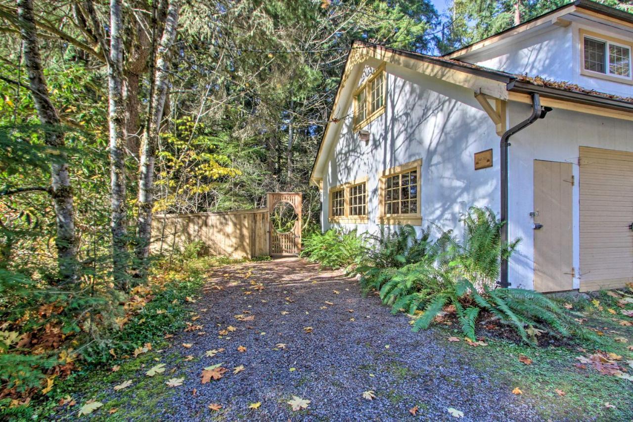 Owls Nest Studio With Hot Tub Hike Nearby! Ashford Exteriör bild